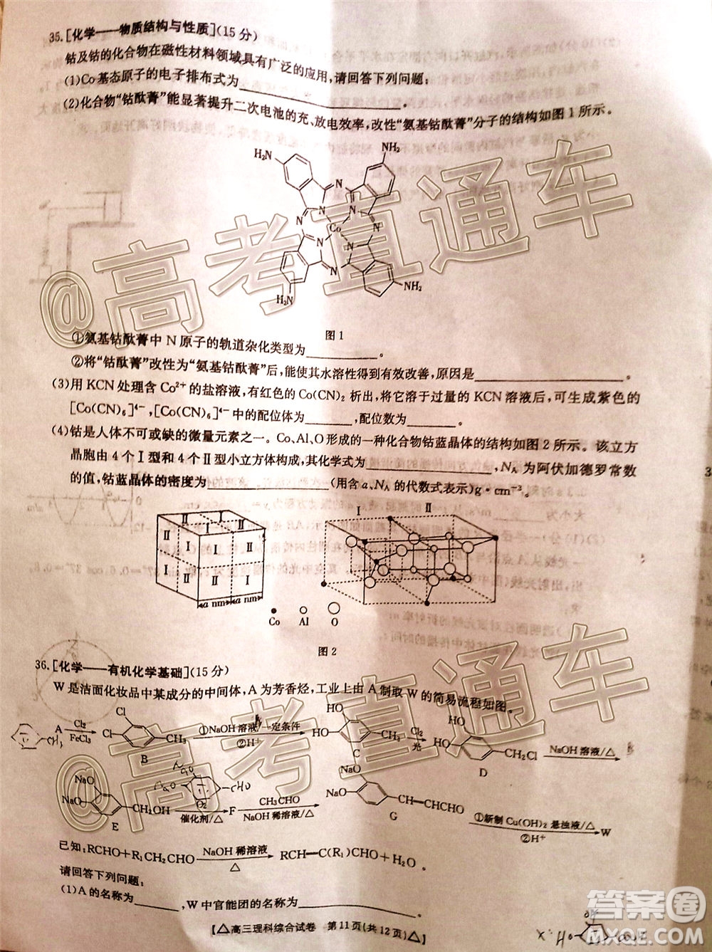 2020年金太陽百萬聯(lián)考全國(guó)II卷三角形高三理科綜合試題及答案