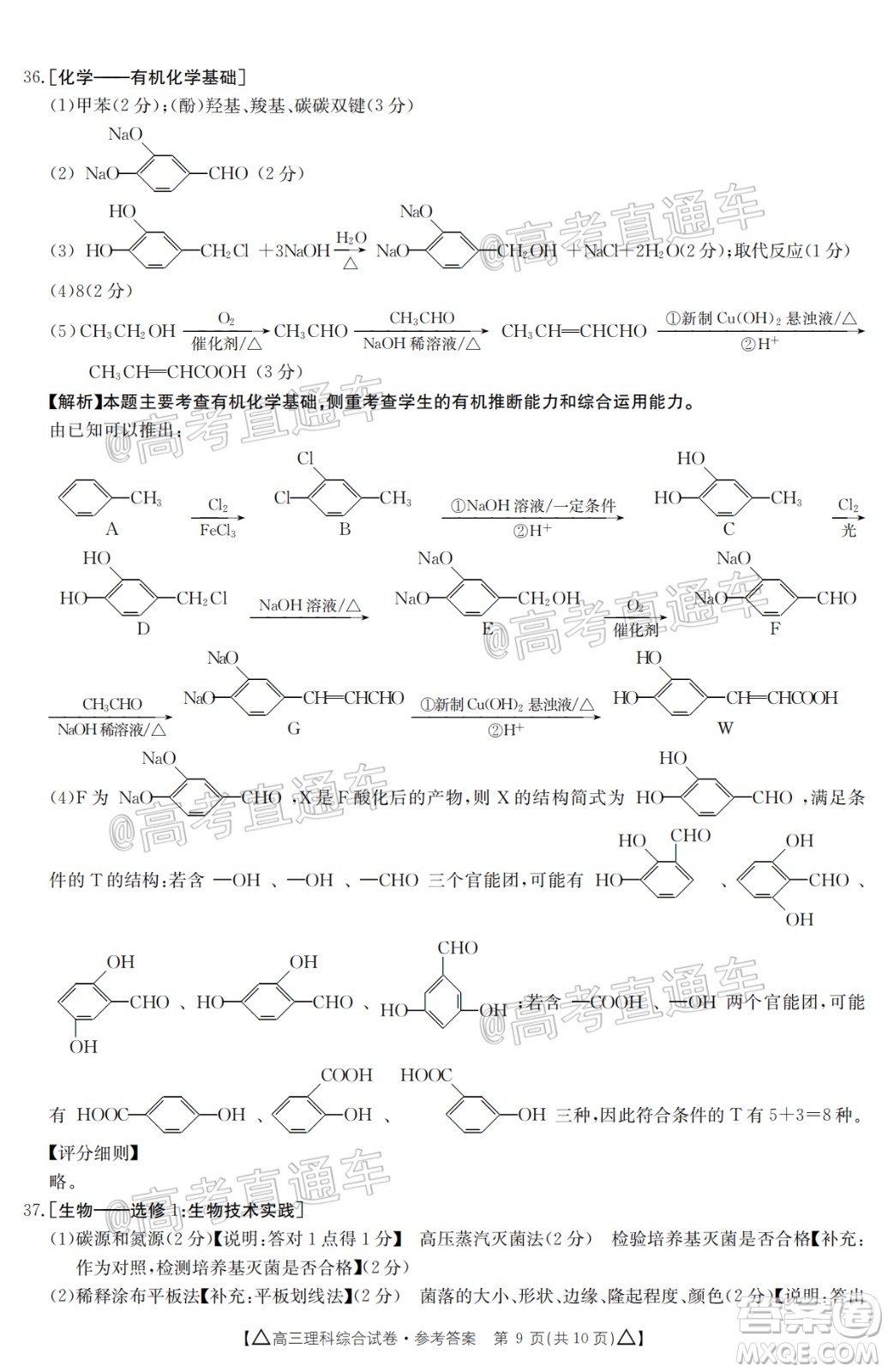 2020年金太陽百萬聯(lián)考全國(guó)II卷三角形高三理科綜合試題及答案