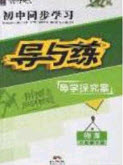 2020初中同步學習導與練導學探究案八年級物理下冊教科版答案