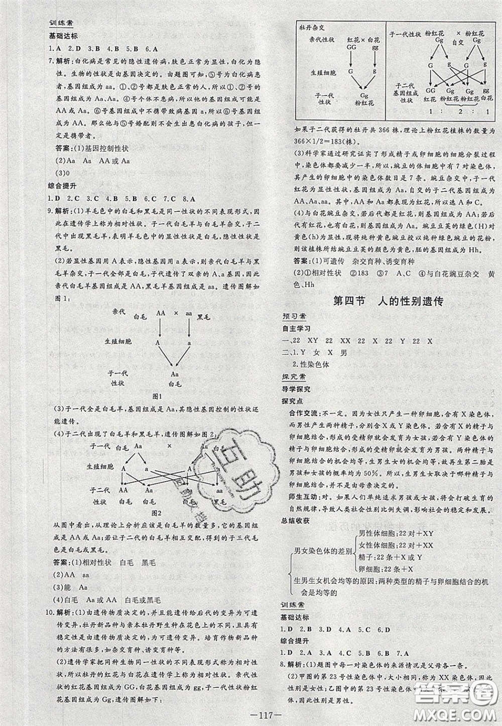 2020初中同步學習導與練導學探究案八年級生物下冊人教版答案