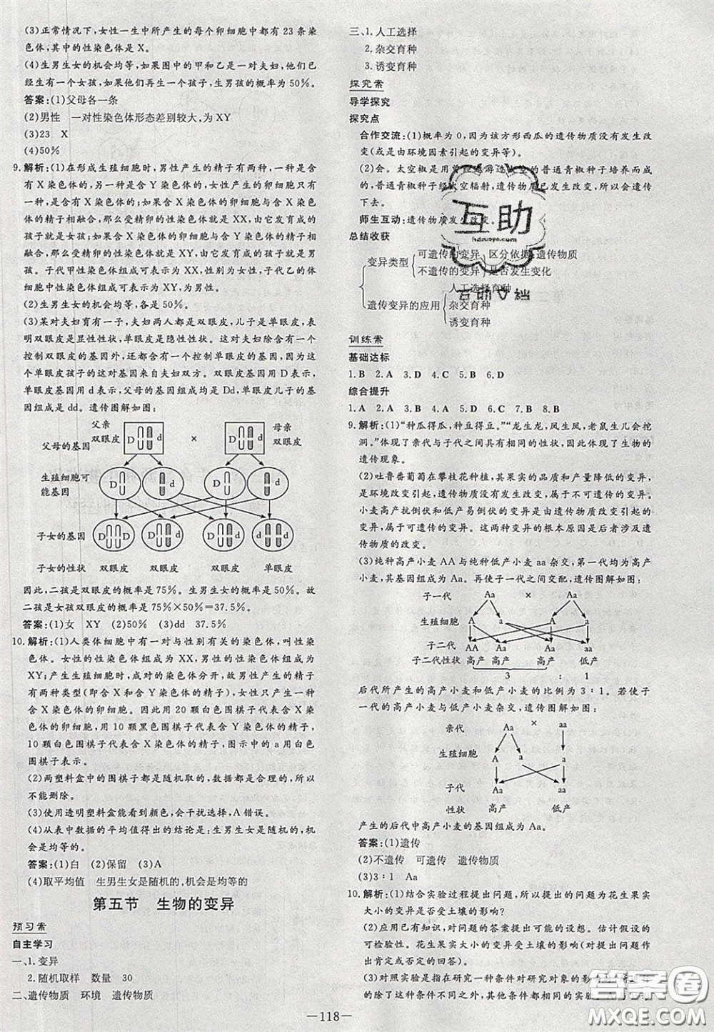 2020初中同步學習導與練導學探究案八年級生物下冊人教版答案