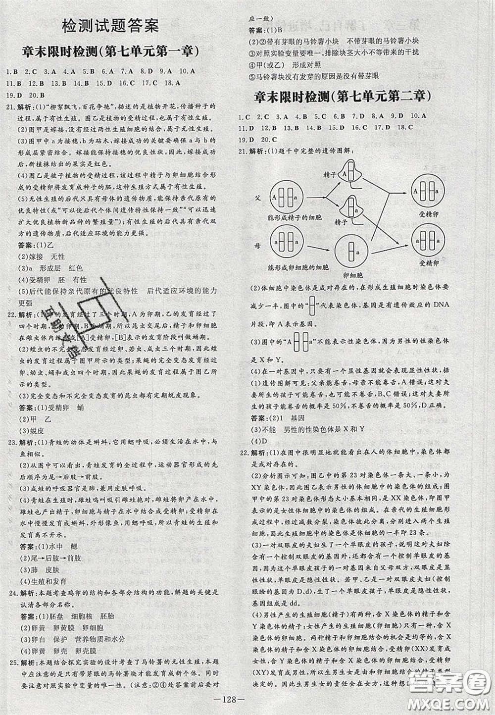 2020初中同步學習導與練導學探究案八年級生物下冊人教版答案