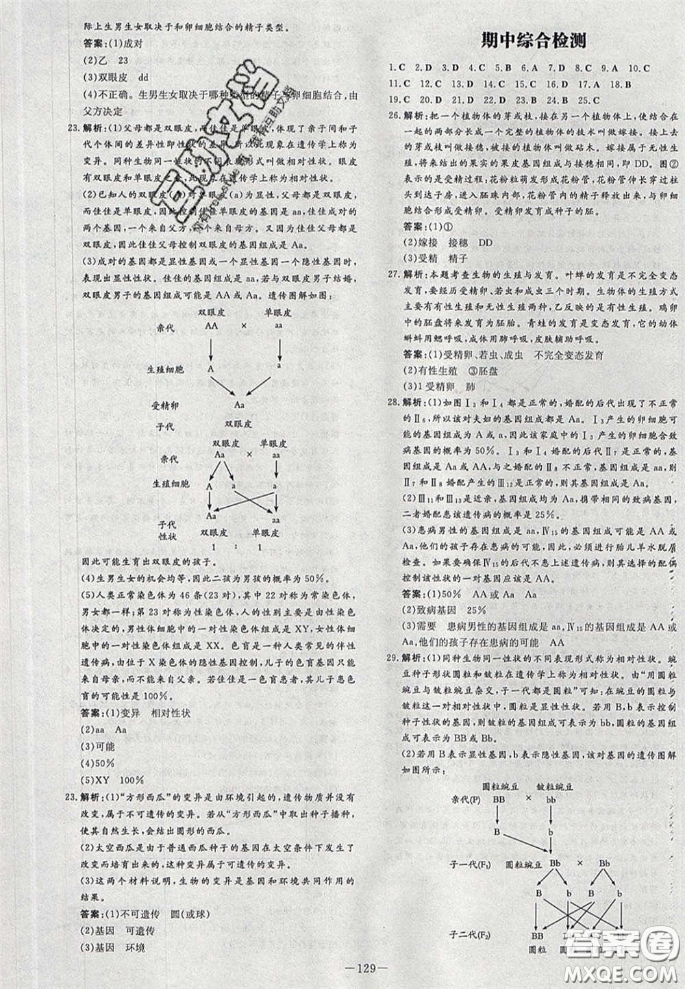 2020初中同步學習導與練導學探究案八年級生物下冊人教版答案