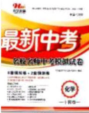 洪文教育2020最新中考名校名師中考模擬試卷化學(xué)河南專版答案