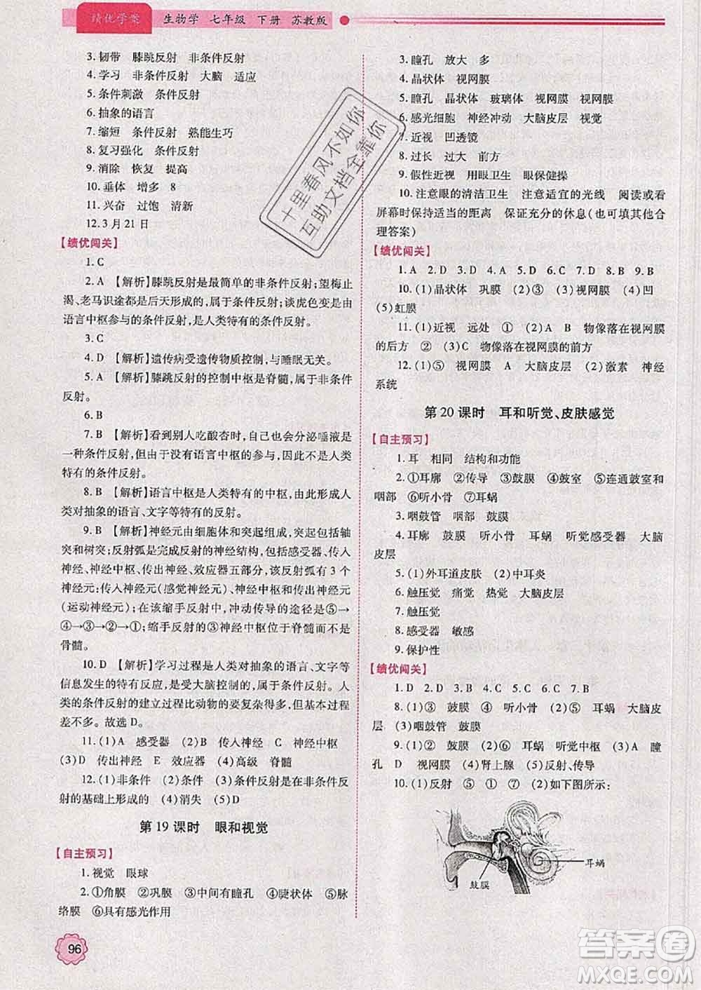 陜西師范大學(xué)出版社2020春績(jī)優(yōu)學(xué)案七年級(jí)生物下冊(cè)蘇教版答案