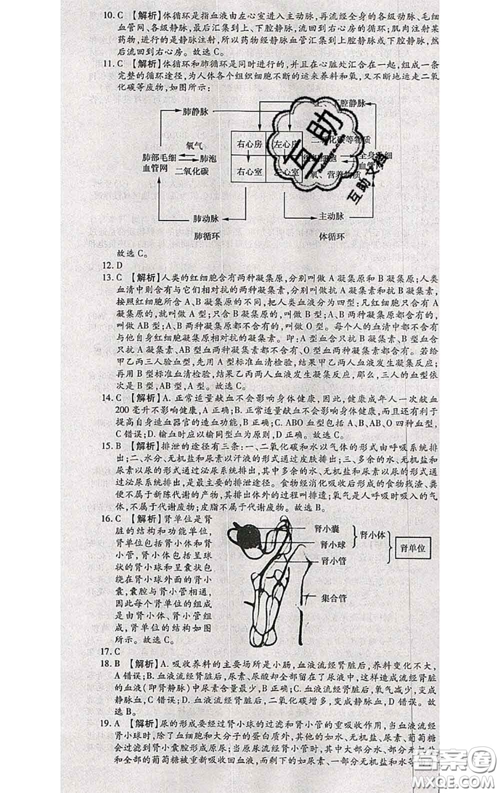 2020春全程測評試卷七年級生物下冊人教版答案