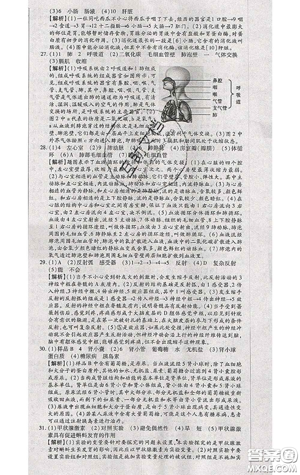 2020春全程測評試卷七年級生物下冊人教版答案