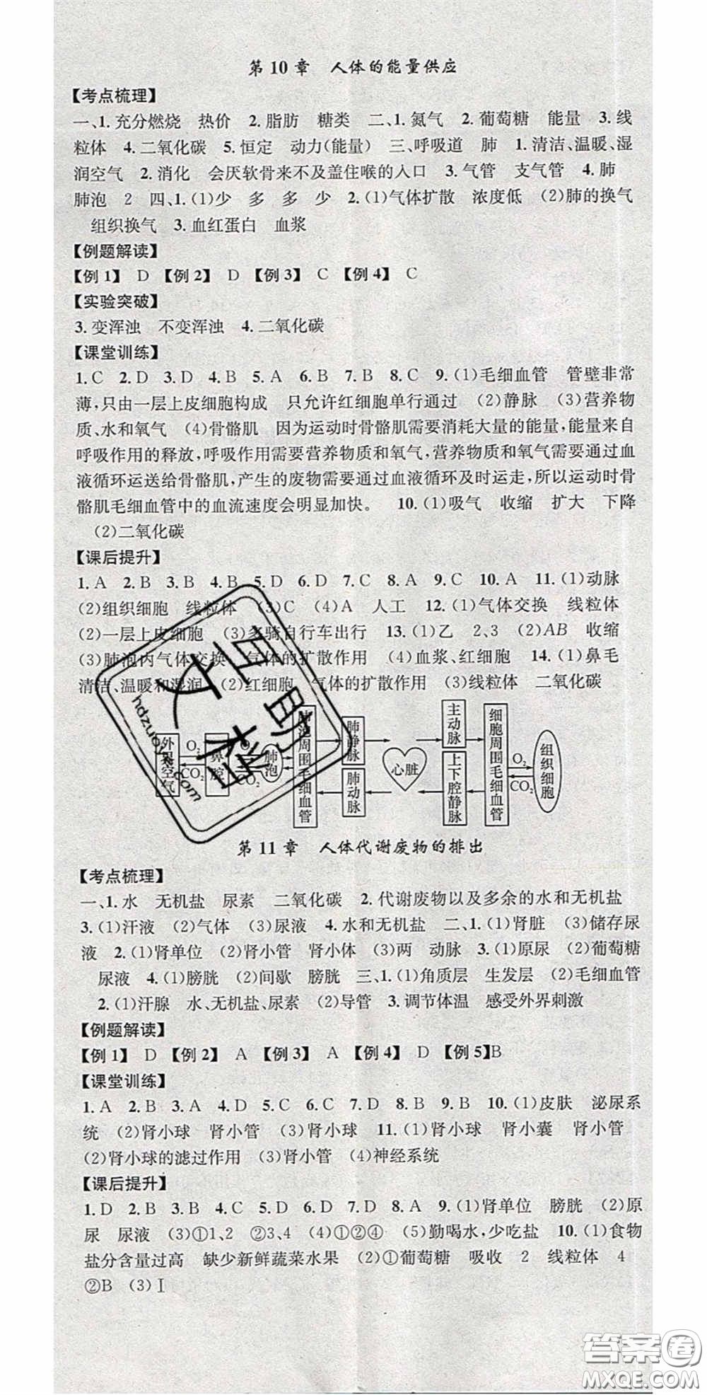 廣東經(jīng)濟(jì)出版社2020火線100天中考滾動復(fù)習(xí)法生物北師大版答案