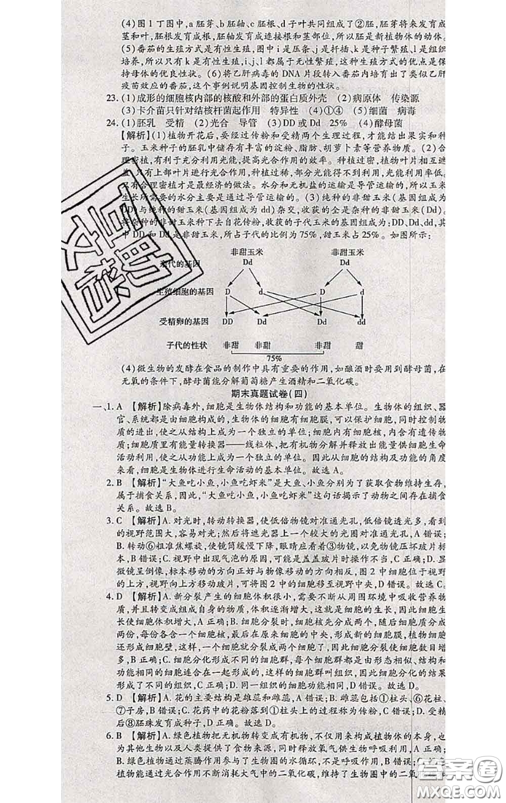 2020春全程測評(píng)試卷八年級(jí)生物下冊人教版答案