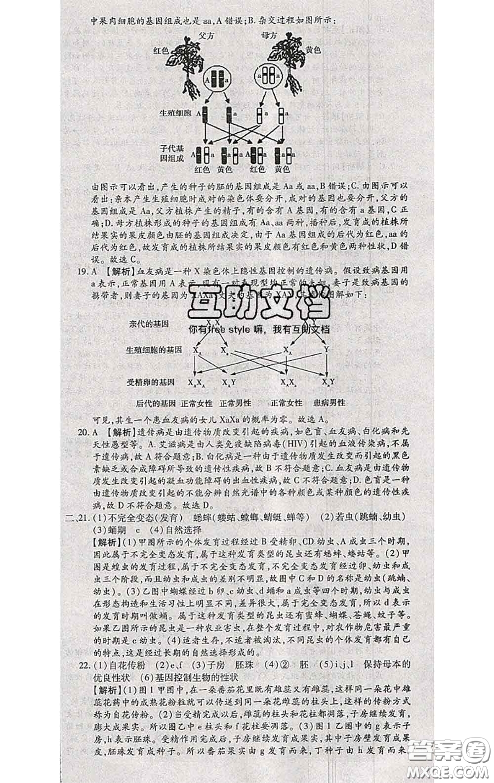 2020春全程測評(píng)試卷八年級(jí)生物下冊人教版答案