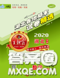 2020年王朝霞各地期末試卷精選六年級數(shù)學(xué)下冊人教版湖北專版答案