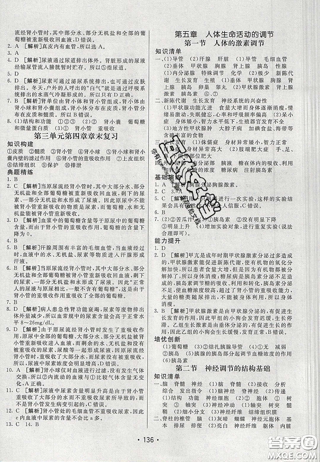 2020年同行學(xué)案學(xué)練測七年級生物下冊濟(jì)南版答案