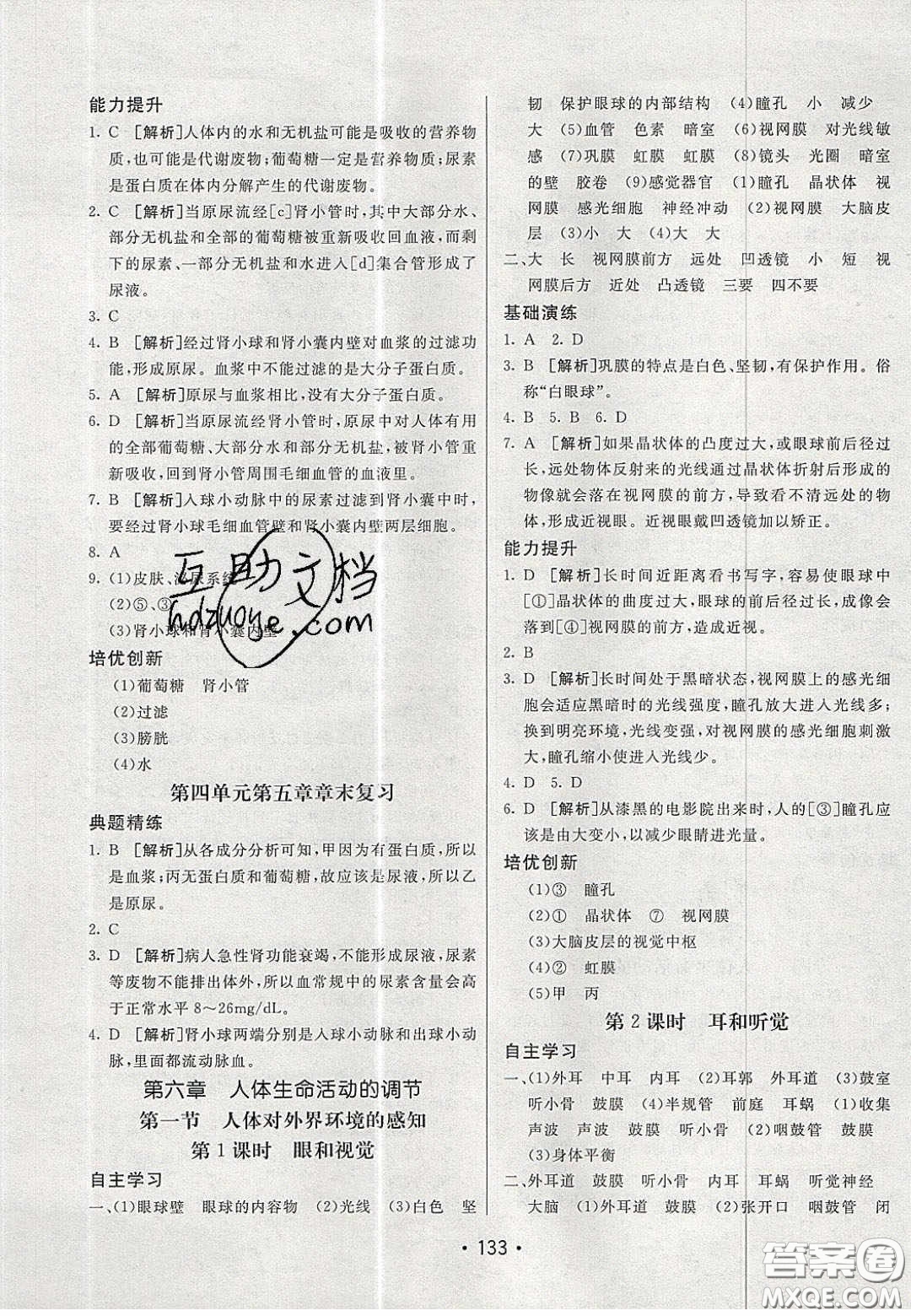 2020年同行學(xué)案學(xué)練測七年級生物下冊青島專版答案