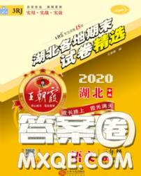 2020年王朝霞各地期末試卷精選三年級語文下冊人教版湖北專版答案