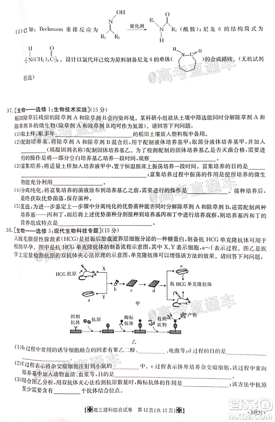 2020年金太陽6月百萬聯(lián)考全國I卷8001C理科綜合試題及答案