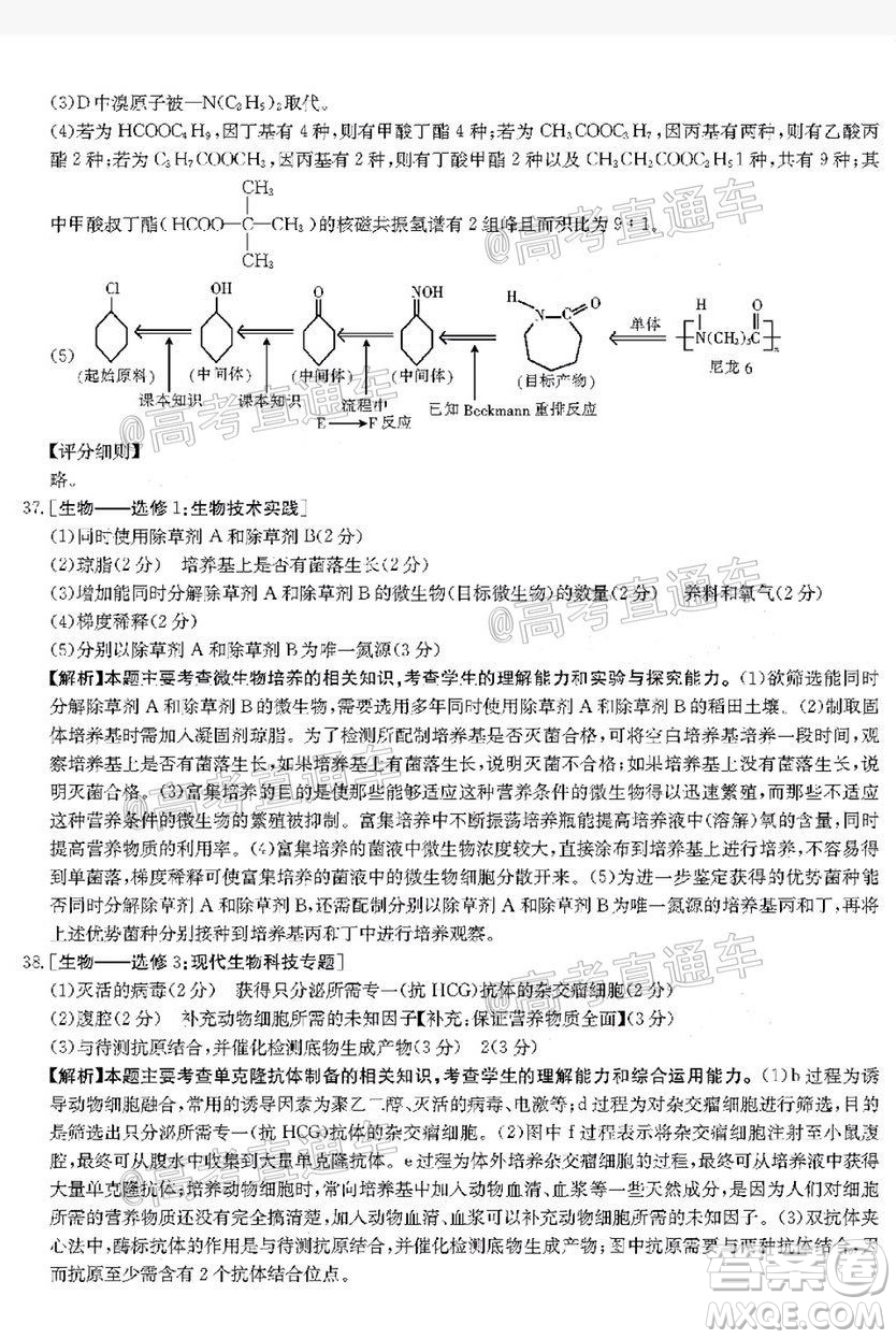 2020年金太陽6月百萬聯(lián)考全國I卷8001C理科綜合試題及答案