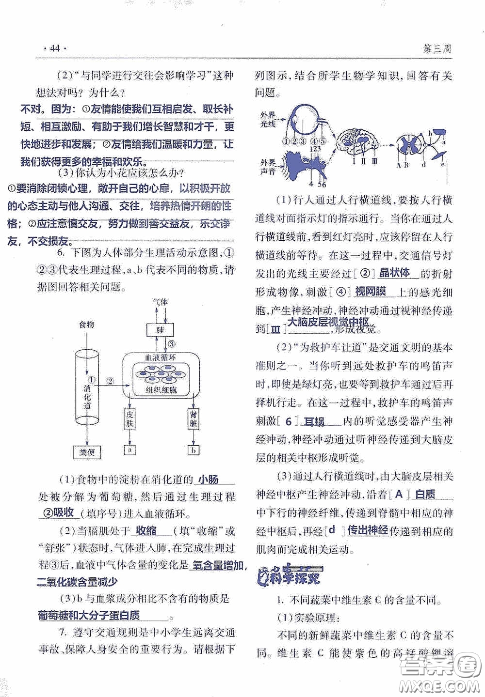 青島出版社2020暑假生活指導(dǎo)七年級六三學(xué)制答案