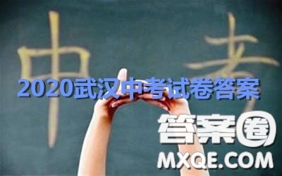 2020湖北省武漢市初中畢業(yè)生學(xué)業(yè)考試數(shù)學(xué)試卷及答案