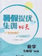 江蘇人民出版社2020年暑假提優(yōu)集訓(xùn)40天七年級數(shù)學(xué)SK蘇科版參考答案