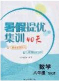 江蘇人民出版社2020年暑假提優(yōu)集訓40天八年級數(shù)學SK蘇科版參考答案