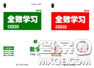 2020全效學(xué)習(xí)課時提優(yōu)七年級數(shù)學(xué)上冊浙教版答案