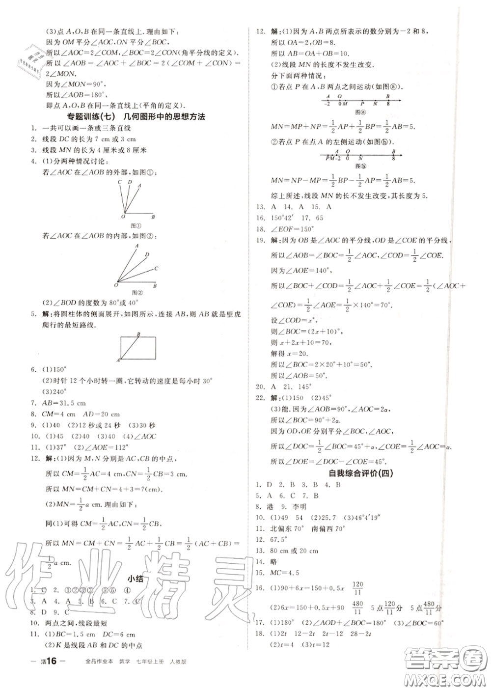 陽光出版社2020秋全品作業(yè)本七年級數(shù)學上冊人教版答案