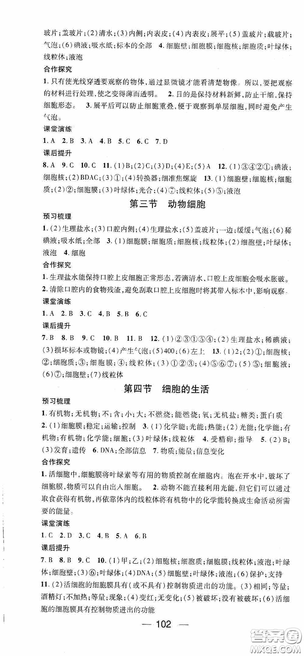 陽光出版社2020精英新課堂七年級生物上冊人教版答案