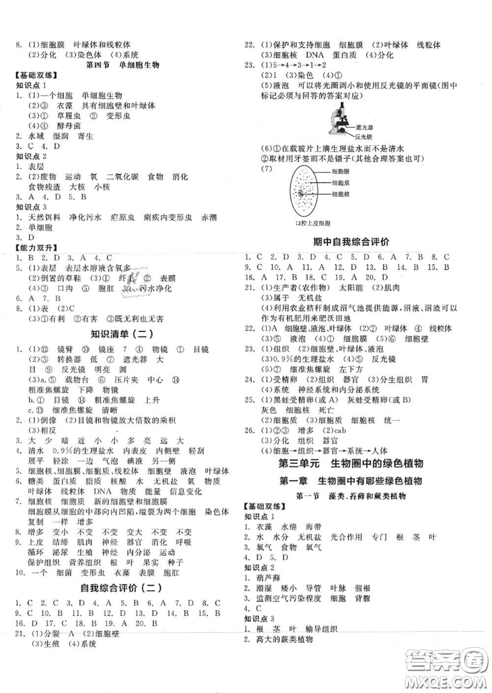 陽光出版社2020秋全品作業(yè)本七年級生物上冊人教版答案