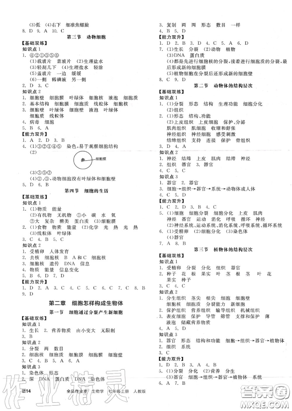 陽光出版社2020秋全品作業(yè)本七年級生物上冊人教版答案