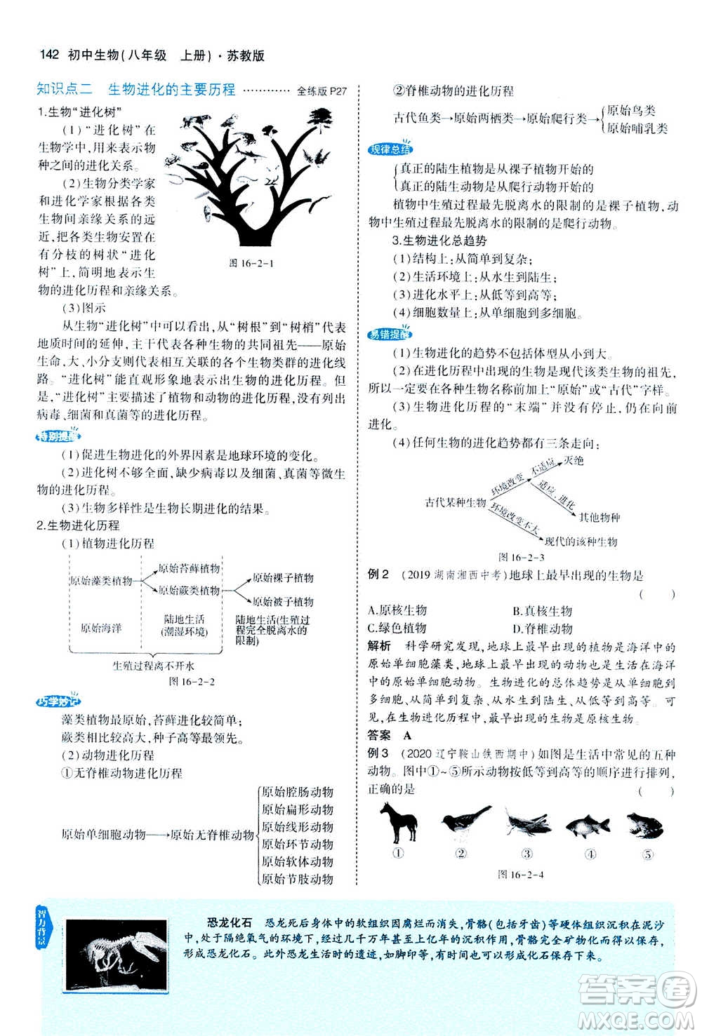 2020秋5年中考3年模擬全練版全解版初中生物八年級(jí)上冊(cè)蘇教版參考答案