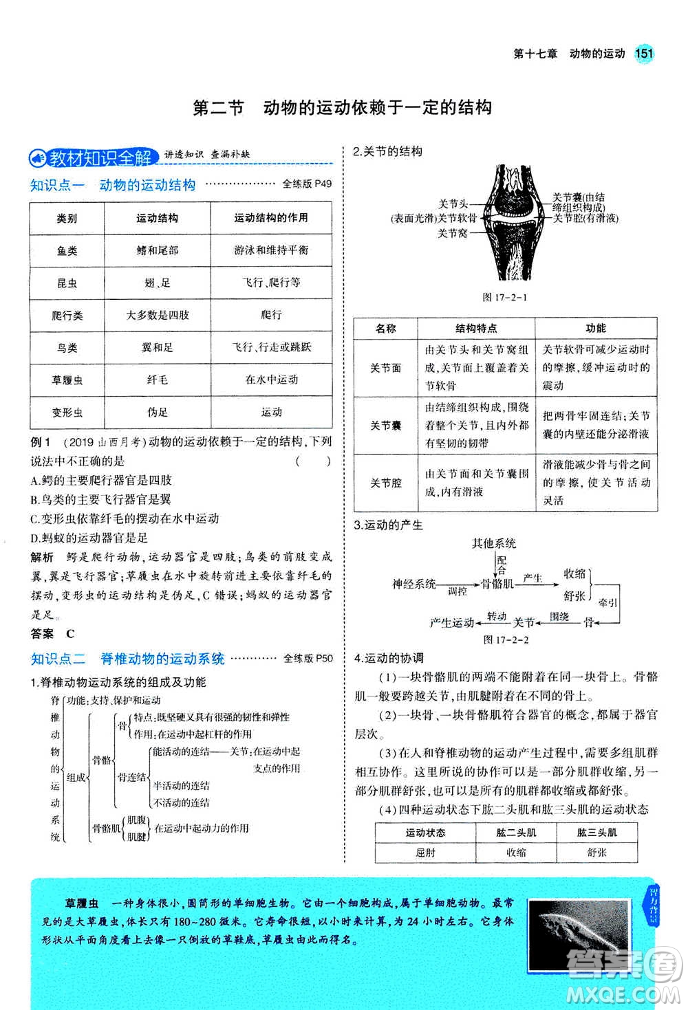 2020秋5年中考3年模擬全練版全解版初中生物八年級(jí)上冊(cè)蘇教版參考答案