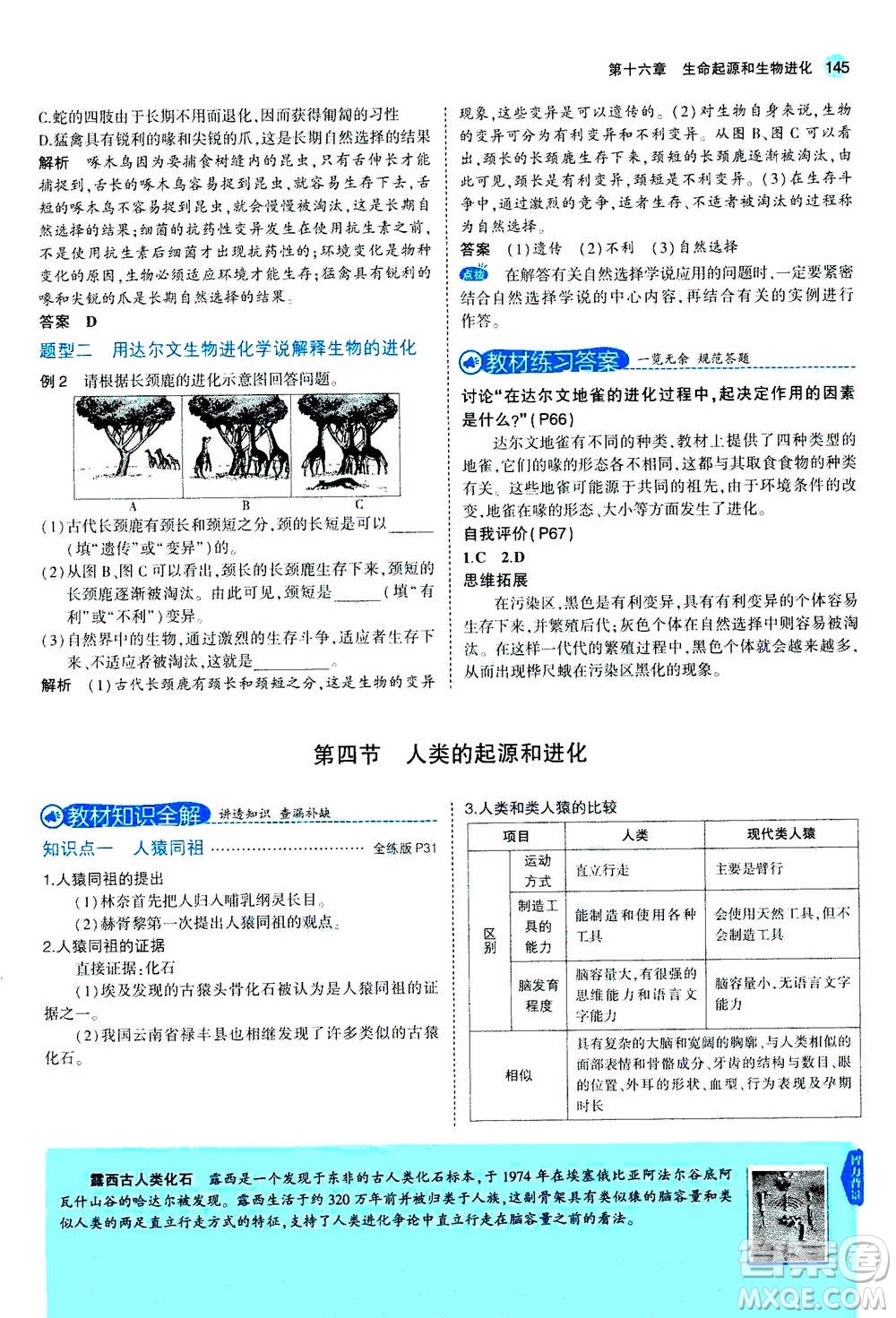 2020秋5年中考3年模擬全練版全解版初中生物八年級(jí)上冊(cè)蘇教版參考答案