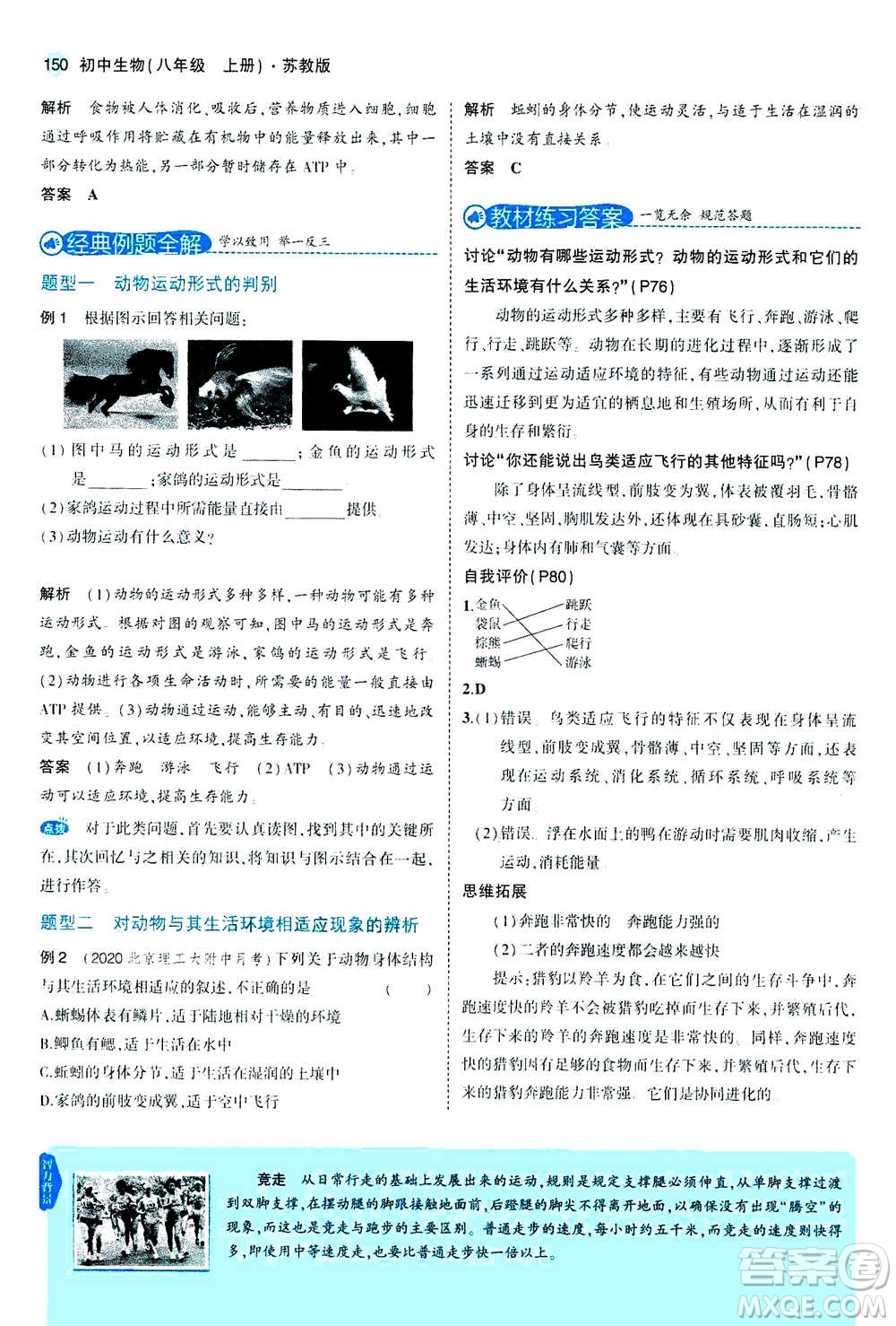 2020秋5年中考3年模擬全練版全解版初中生物八年級(jí)上冊(cè)蘇教版參考答案