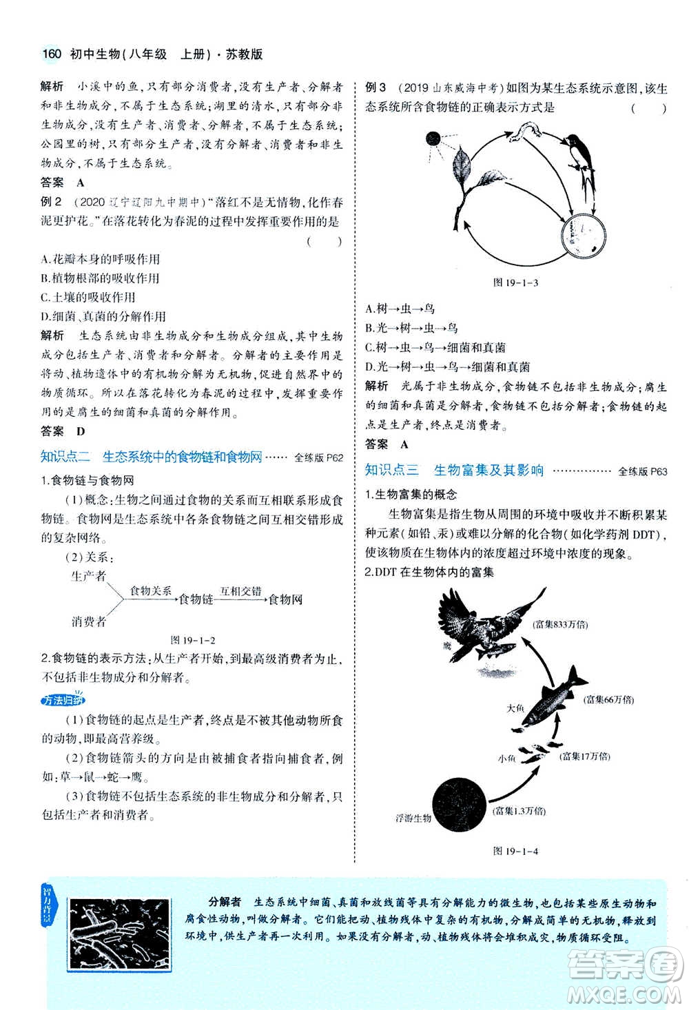 2020秋5年中考3年模擬全練版全解版初中生物八年級(jí)上冊(cè)蘇教版參考答案