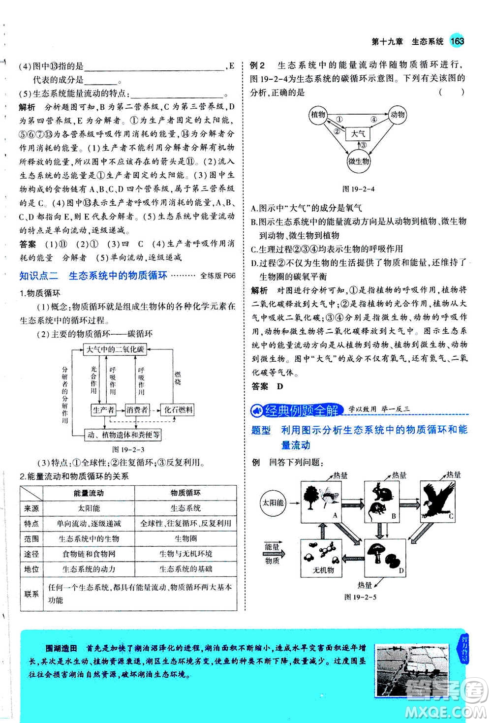 2020秋5年中考3年模擬全練版全解版初中生物八年級(jí)上冊(cè)蘇教版參考答案