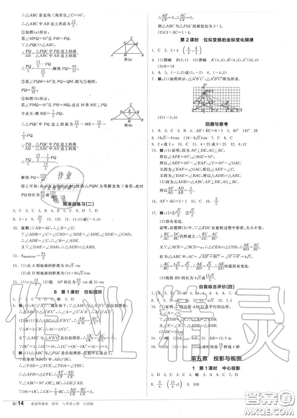 陽光出版社2020秋全品作業(yè)本九年級(jí)數(shù)學(xué)上冊(cè)北師版答案