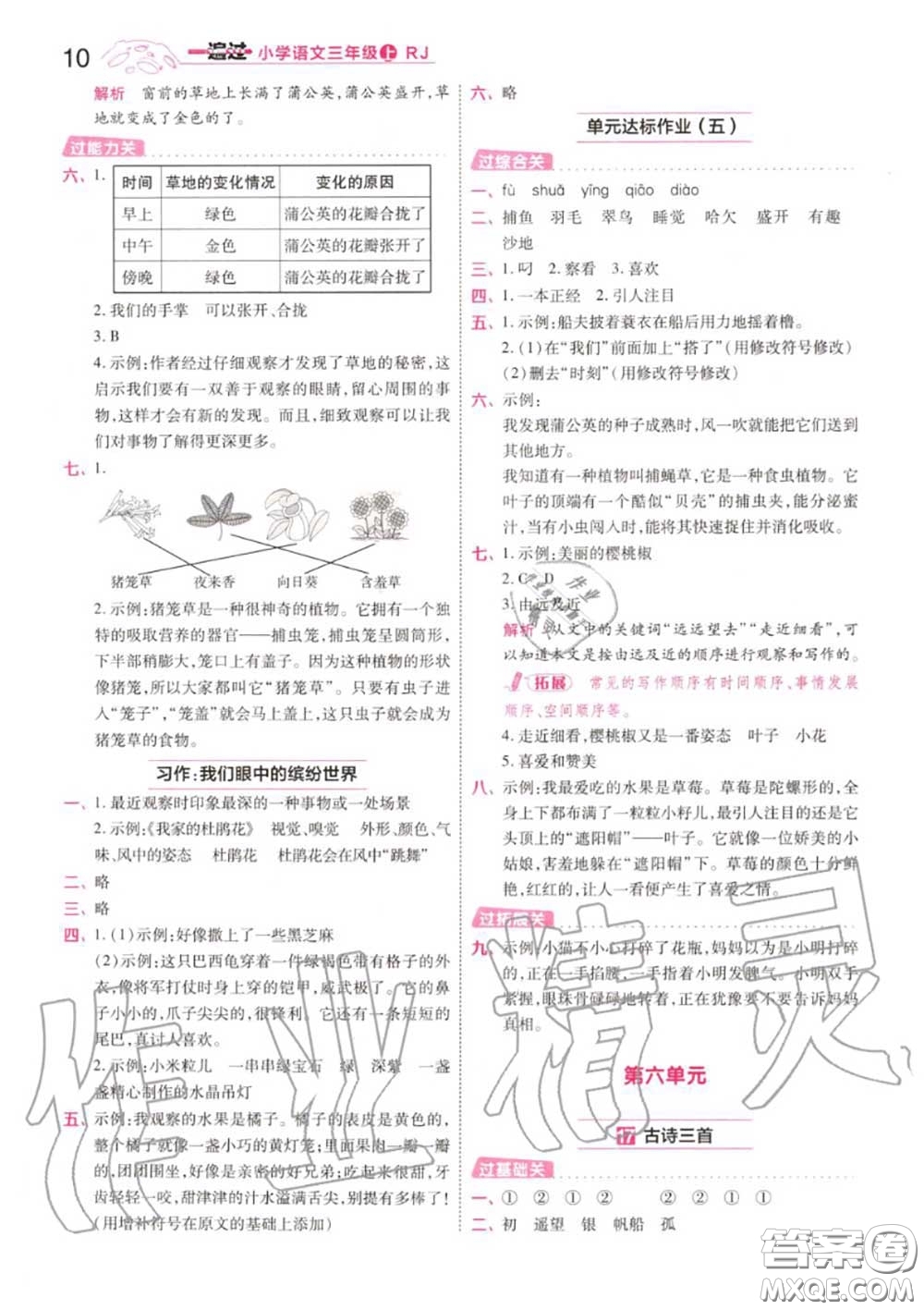 天星教育2020年秋一遍過小學(xué)語文三年級上冊人教版答案