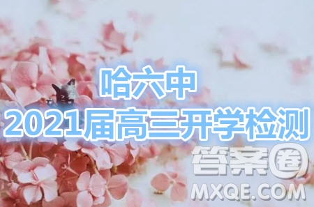 哈爾濱市第六中學(xué)2021屆開學(xué)階段性總結(jié)高三生物試題及答案