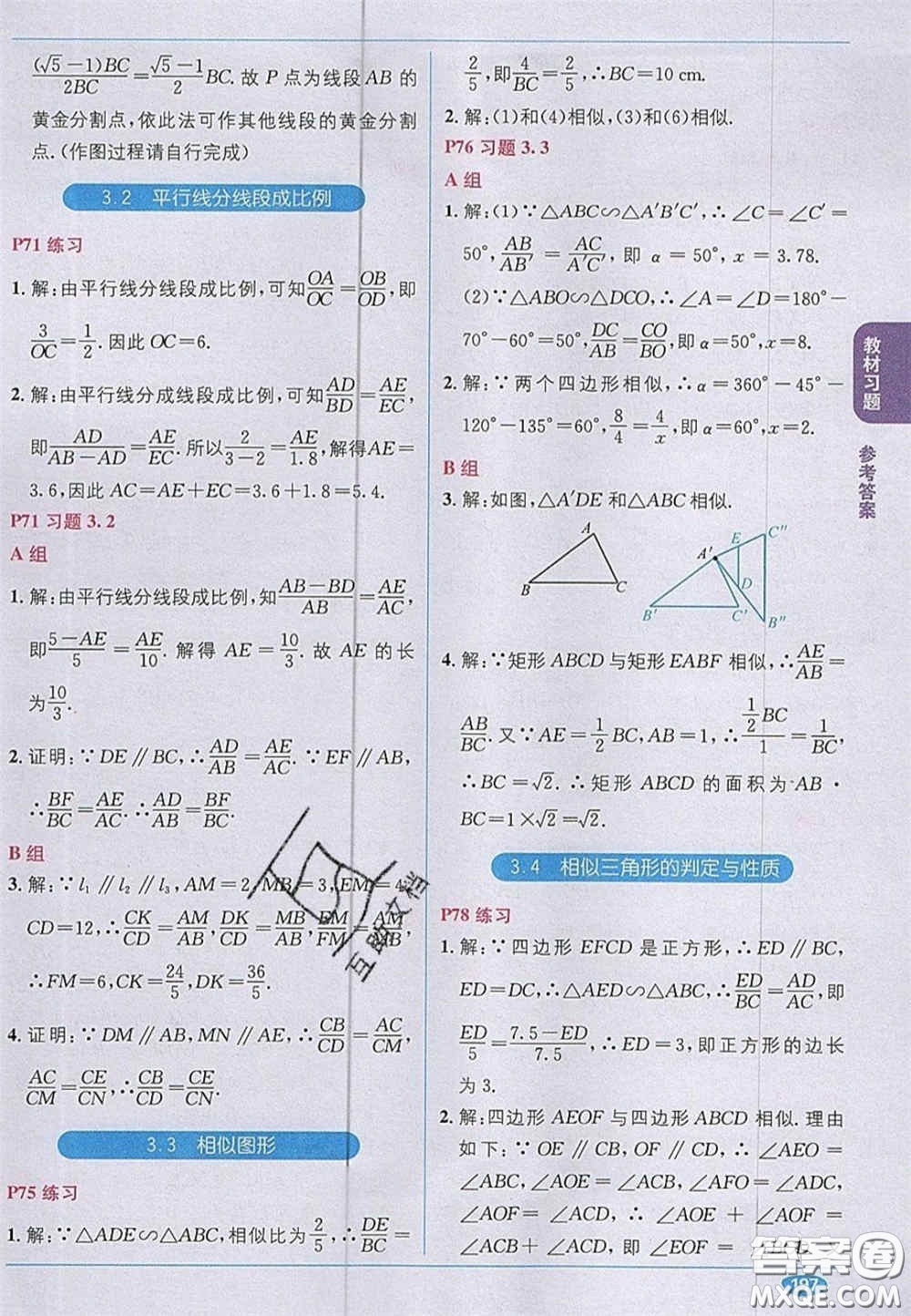 新疆青少年出版社2020教材1加1九年級數(shù)學(xué)上冊湘教版答案