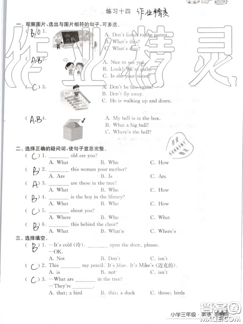 譯林出版社2020年暑假學(xué)習(xí)生活三年級合訂本通用版答案