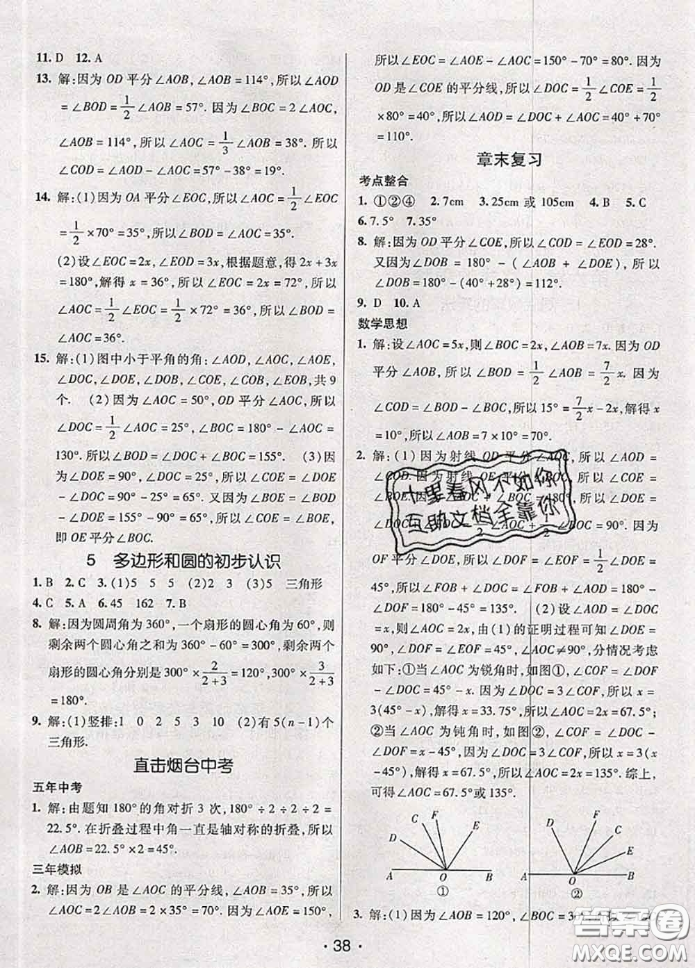 新疆青少年出版社2020同行學(xué)案學(xué)練測六年級數(shù)學(xué)下冊魯教版參考答案