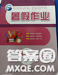 新疆青少年出版社2020年暑假作業(yè)七年級數(shù)學人教版參考答案