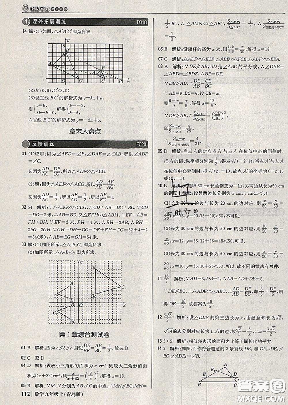 2020年秋1加1輕巧奪冠優(yōu)化訓(xùn)練九年級數(shù)學(xué)上冊青島版參考答案