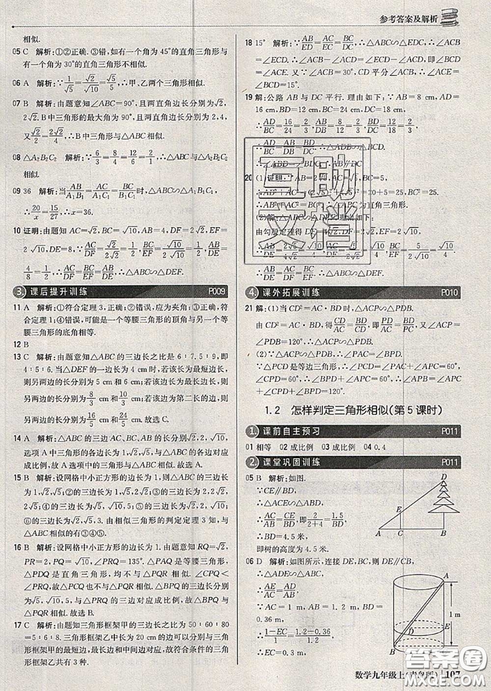 2020年秋1加1輕巧奪冠優(yōu)化訓(xùn)練九年級數(shù)學(xué)上冊青島版參考答案