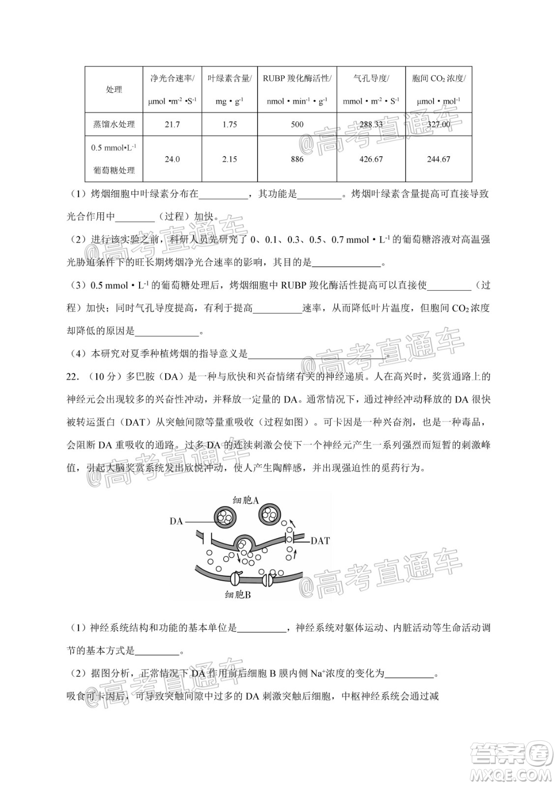 2021屆江蘇省啟東中學高三期初考試生物試卷及答案