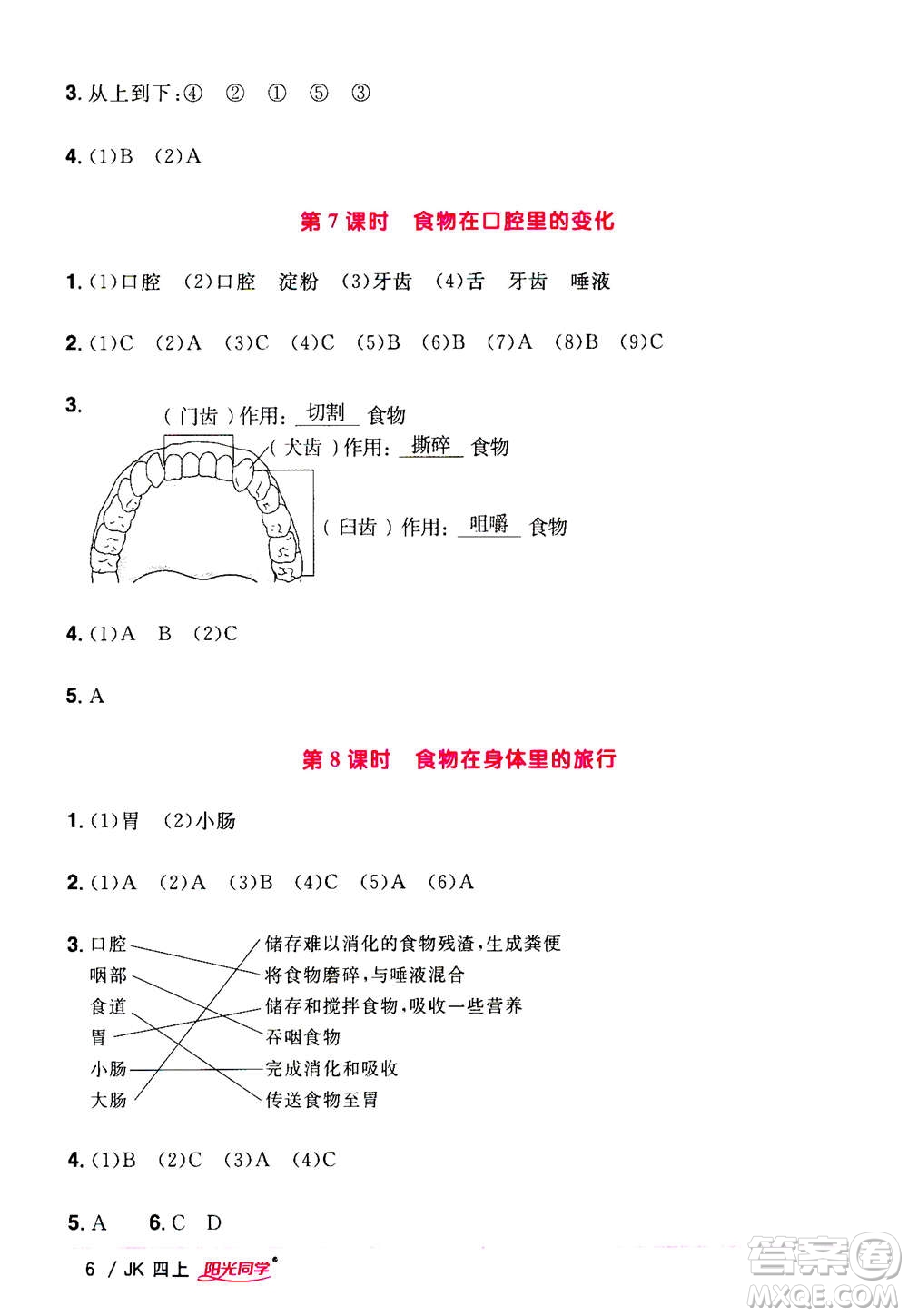 2020年陽(yáng)光同學(xué)課時(shí)優(yōu)化作業(yè)科學(xué)四年級(jí)上冊(cè)JK教科版答案