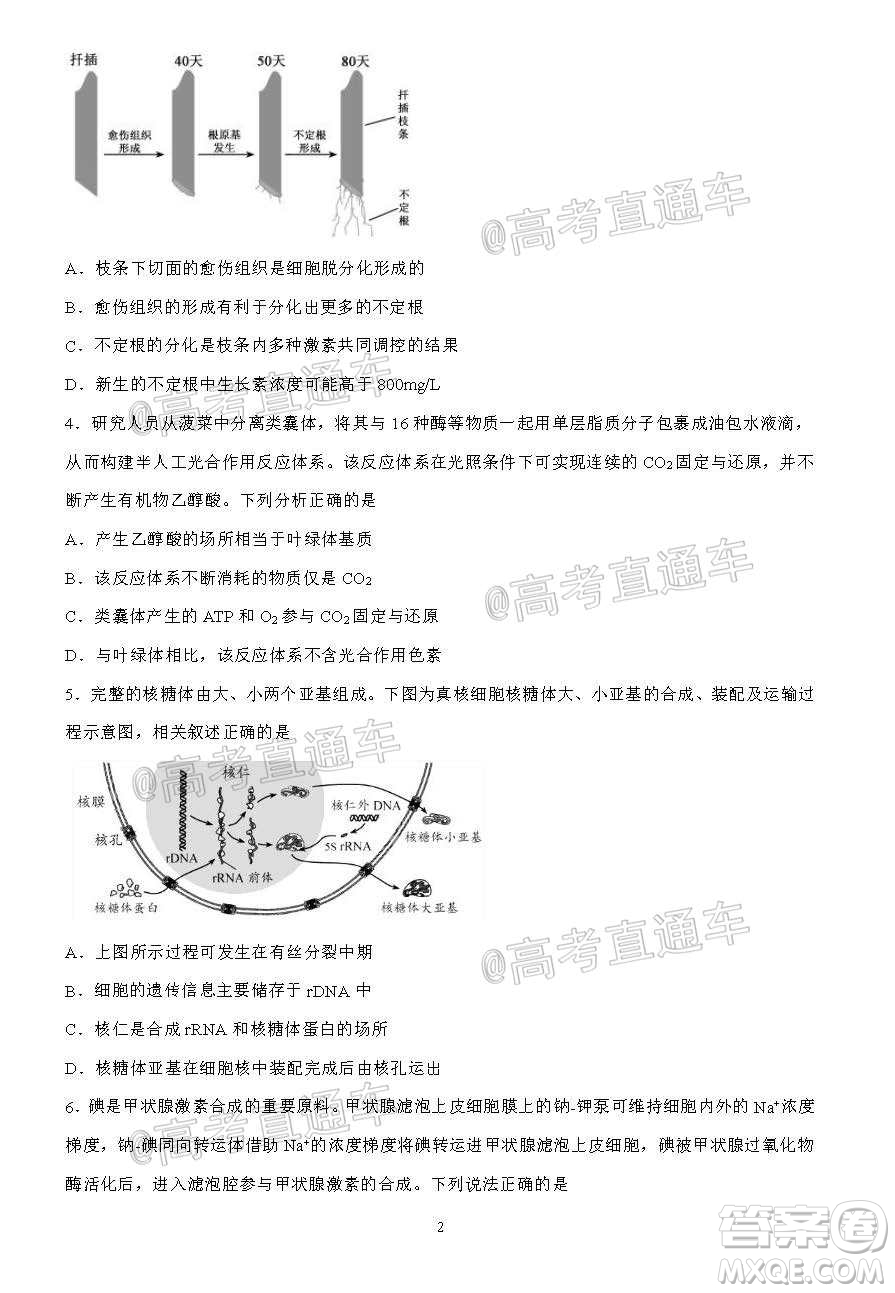 2020年秋四川省棠湖中學(xué)高三開學(xué)考試文理科綜合試題及答案