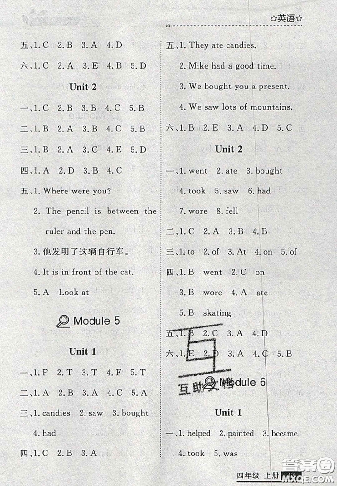 2020年學(xué)習(xí)之星培優(yōu)計(jì)劃四年級(jí)英語(yǔ)上冊(cè)外研版答案