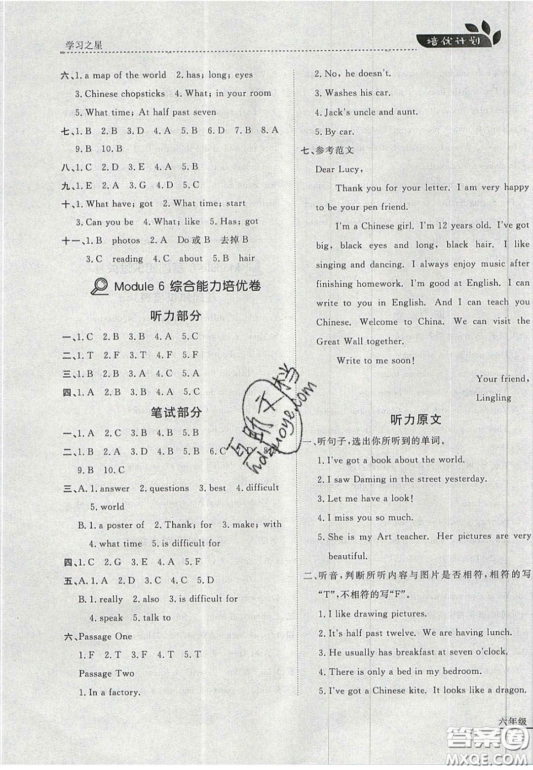 2020年學(xué)習(xí)之星培優(yōu)計(jì)劃六年級(jí)英語(yǔ)上冊(cè)外研版答案