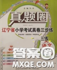 2020年遼寧省真題圈小學(xué)考試真卷三步練四年級(jí)語文上冊(cè)答案